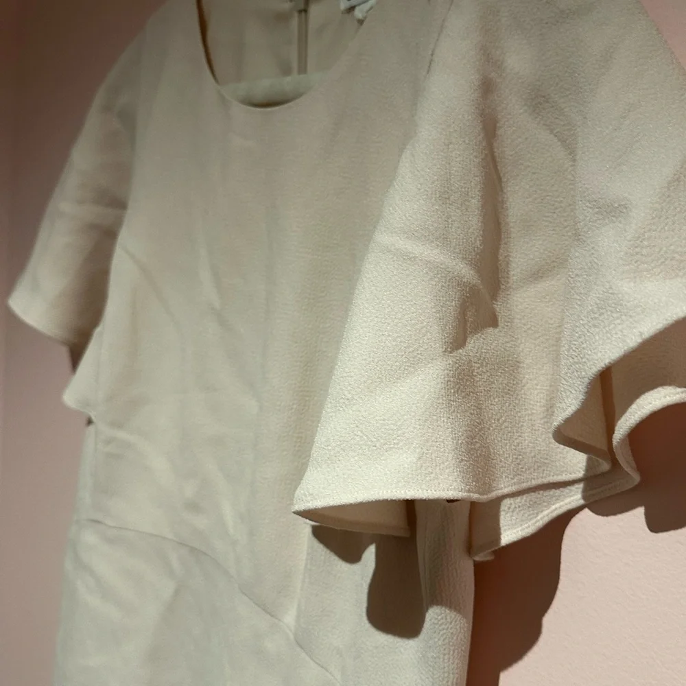 Club Monaco, blush pink dress - Picture 3 of 4